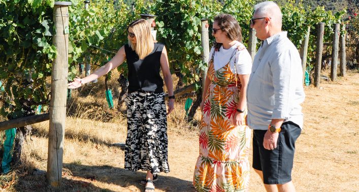 Walking-through-wine-learning-vineyards