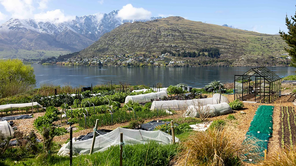 Sherwood vegetable garden